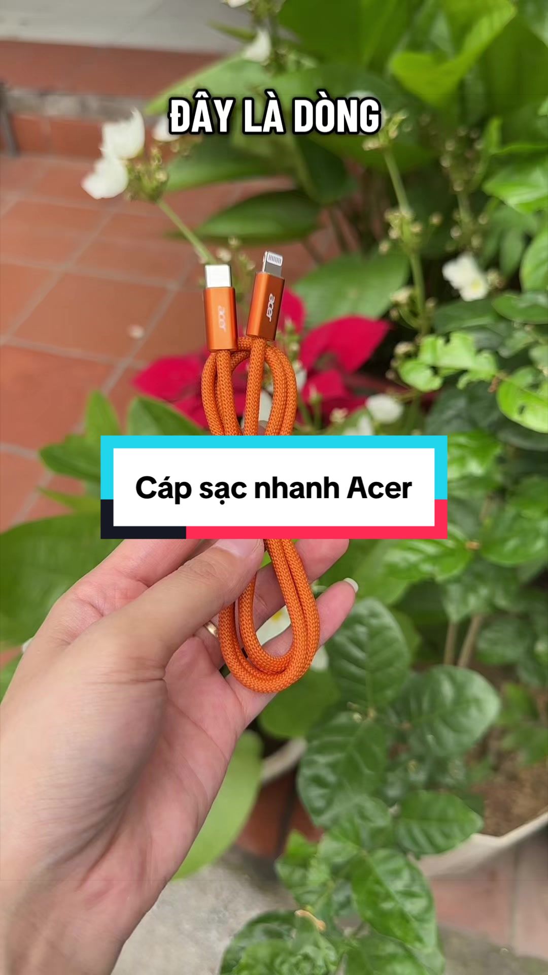 @Tuấn B&igrave;nh Thường