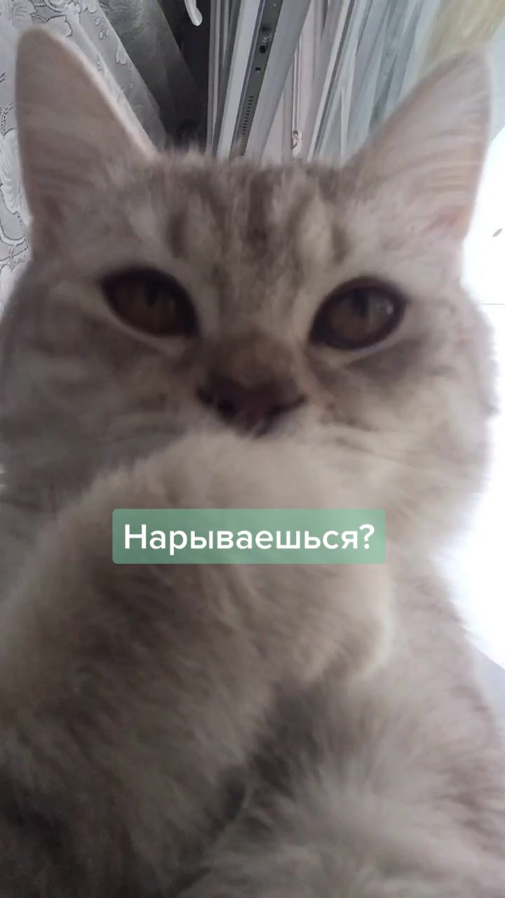 @LIUTIK