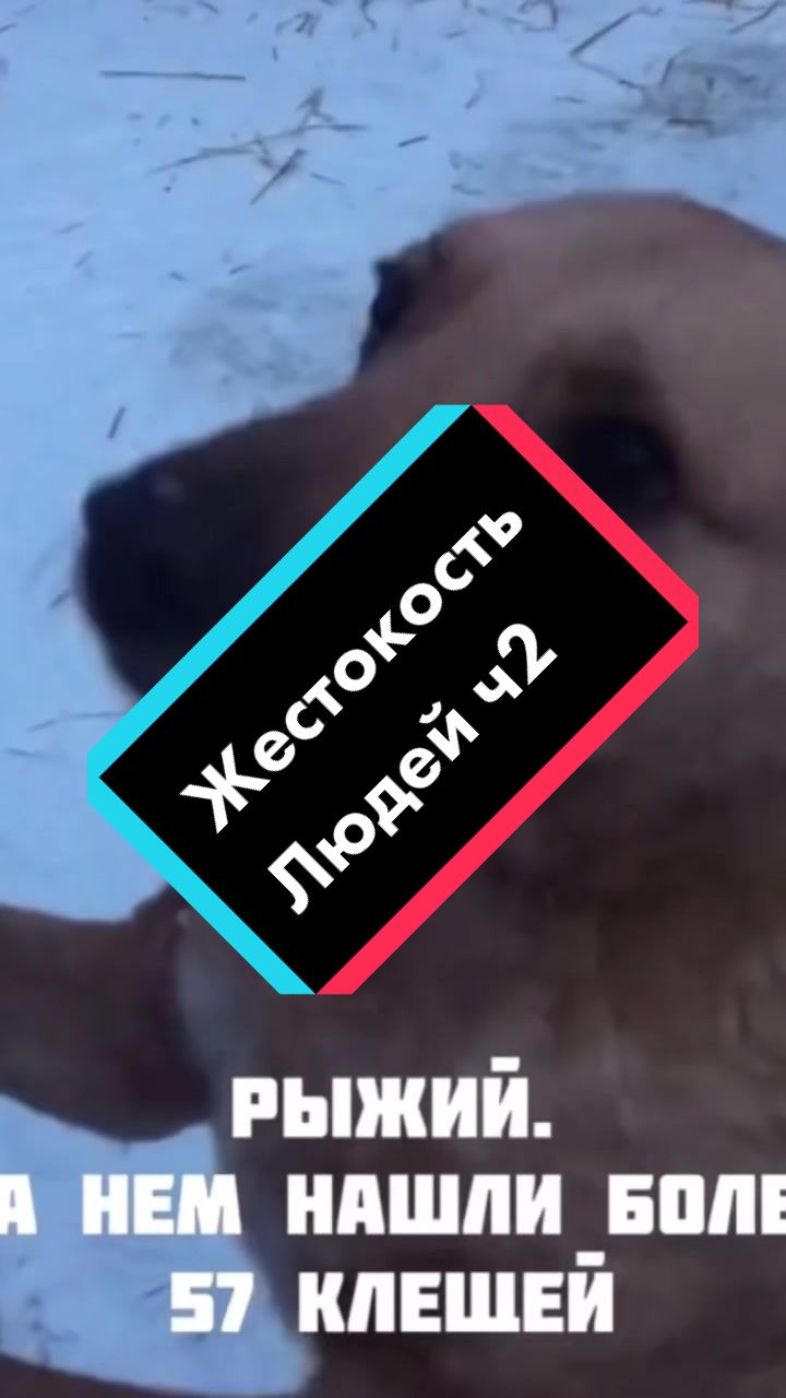@artem_smurom