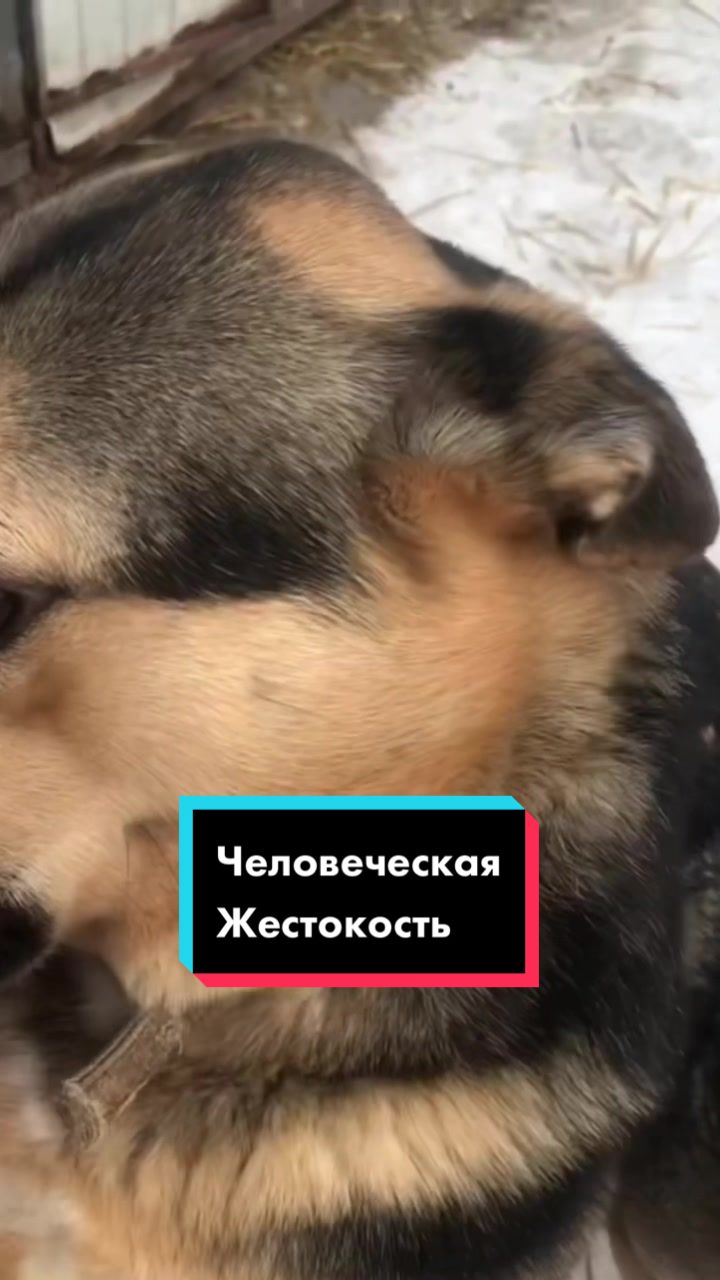 @artem_smurom