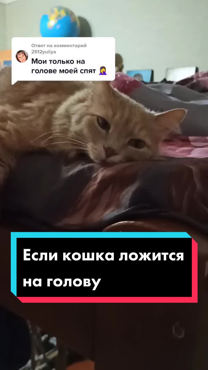 @leva.opakot