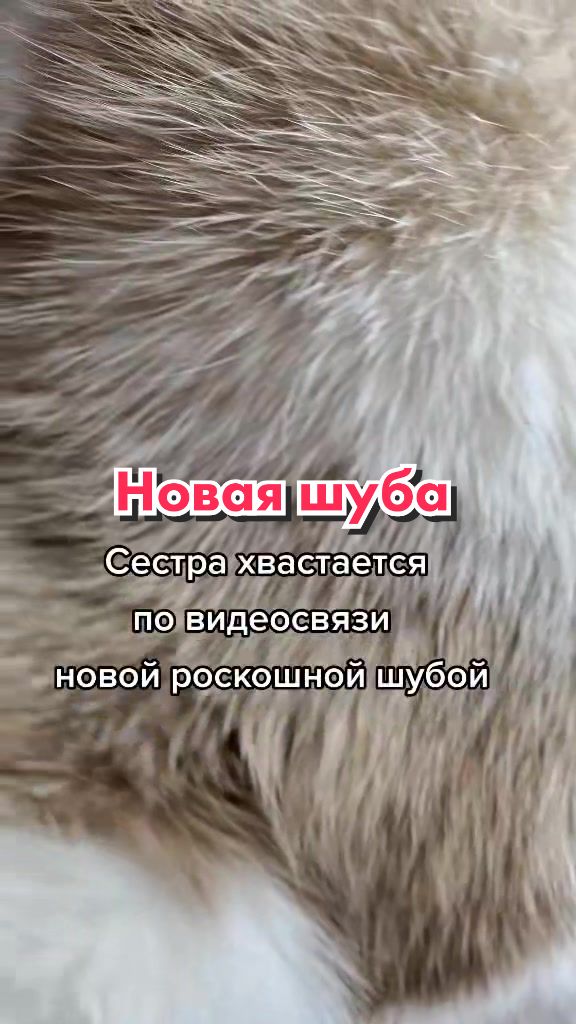 @Кот Клякса