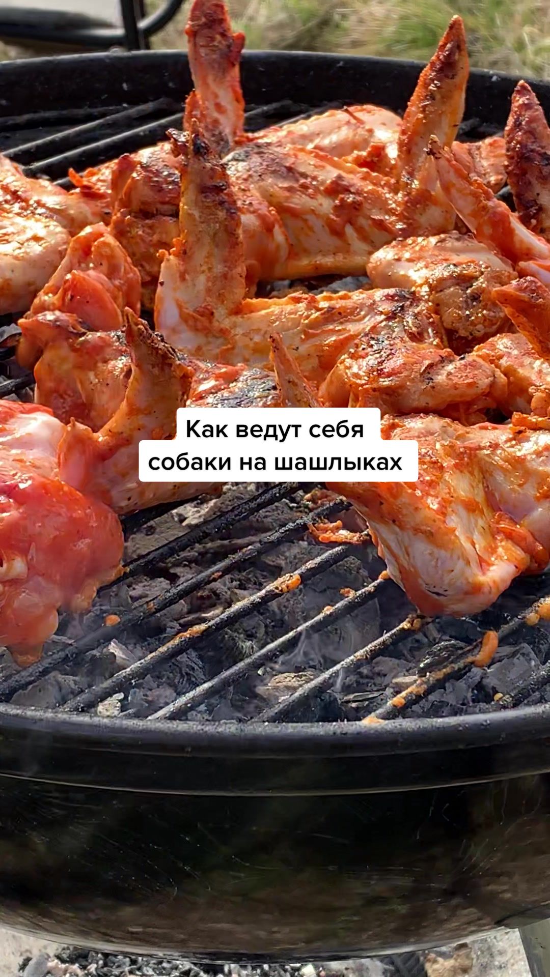 @Диляра Замалетдинова