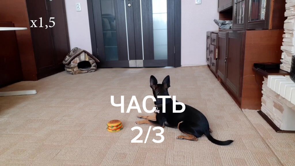 @Наташа Порядина