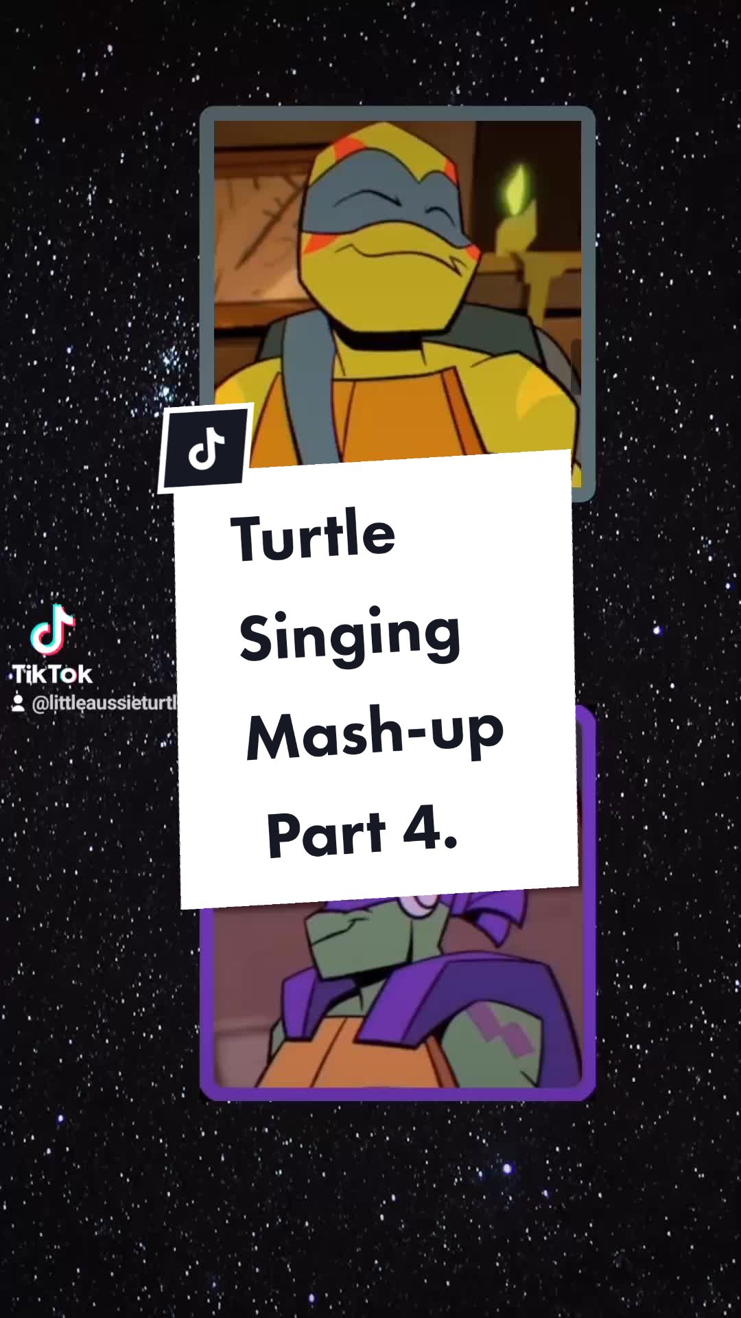 @LittleAussieTurtle