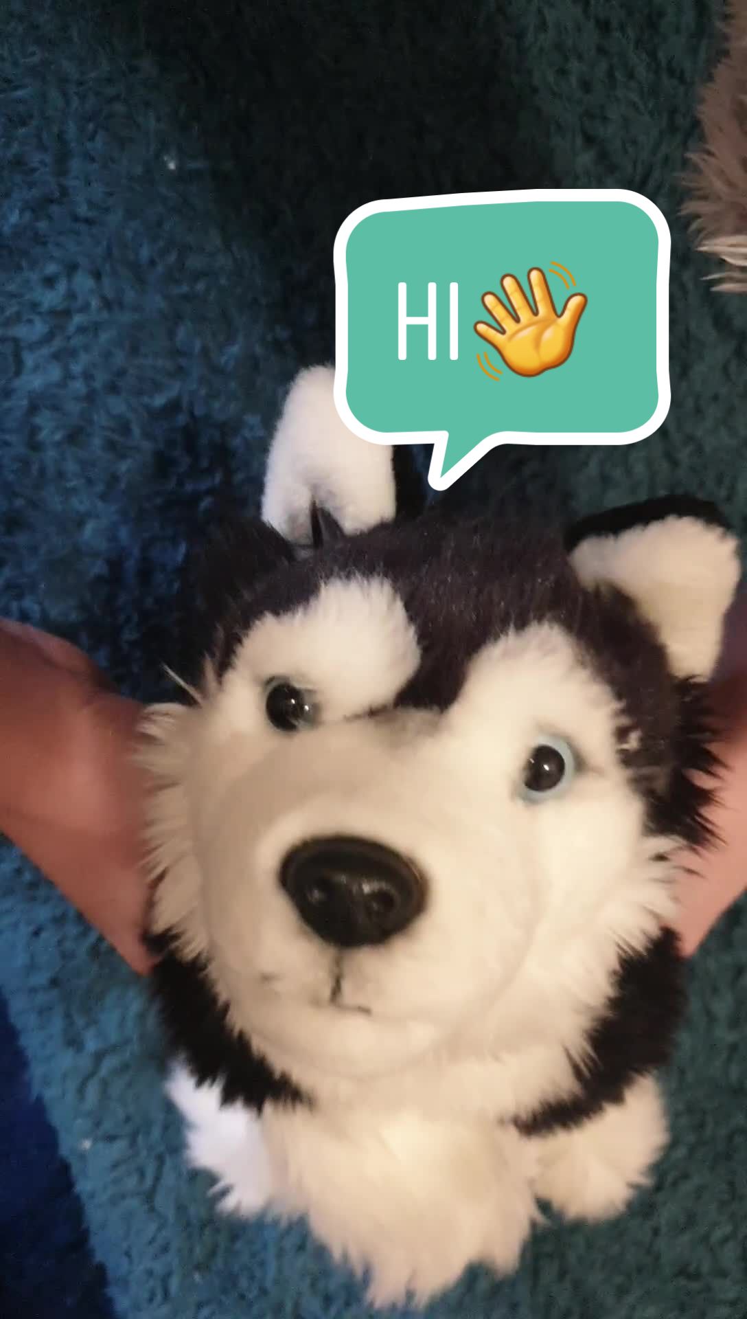 @Wolfy Ted