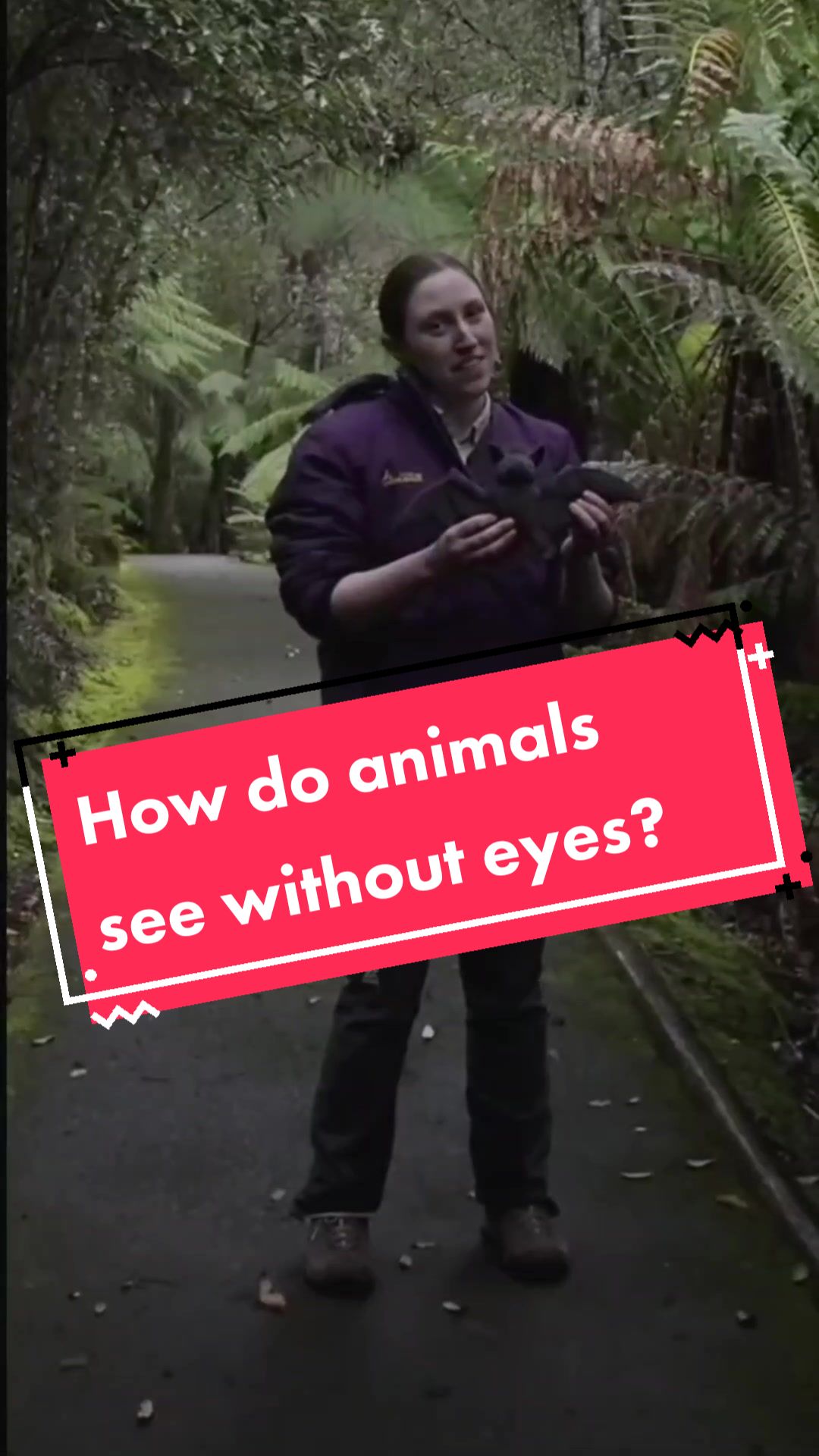 @YTS_UTAS