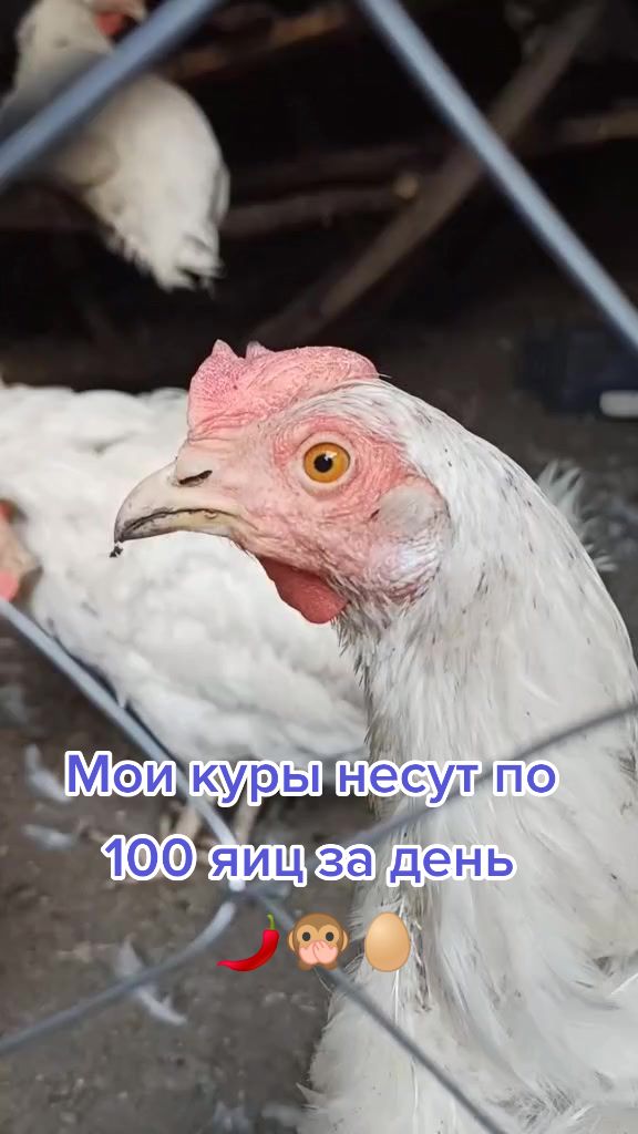 @Sad