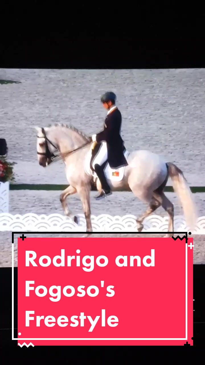 @Artline Dressage