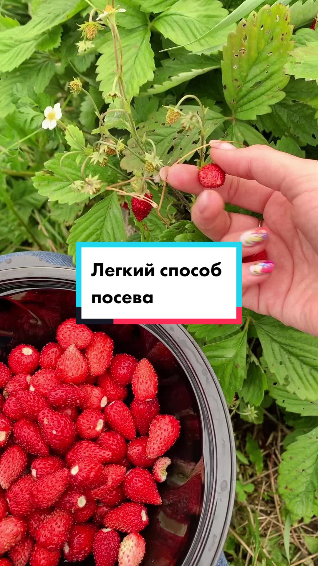 @Nina Letovsemusvetu