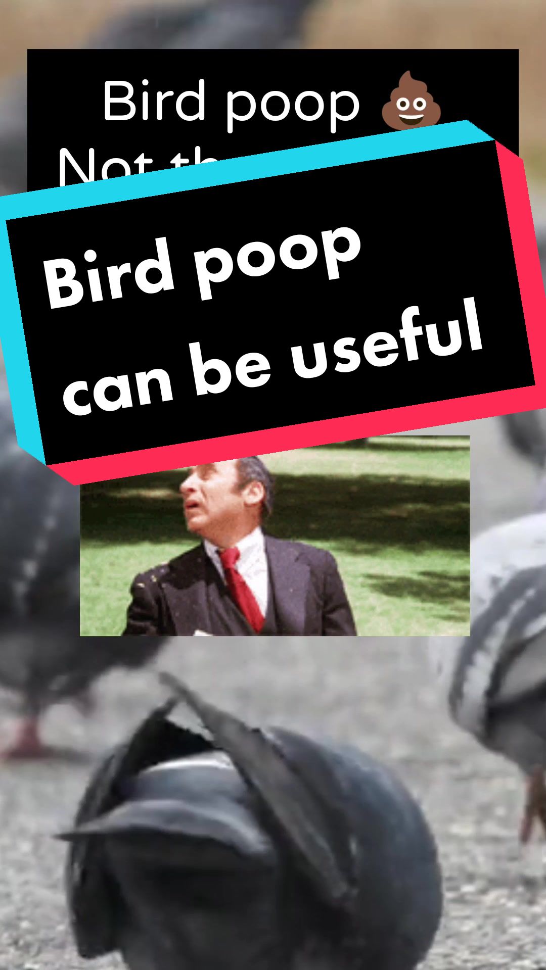 @interesting facts
