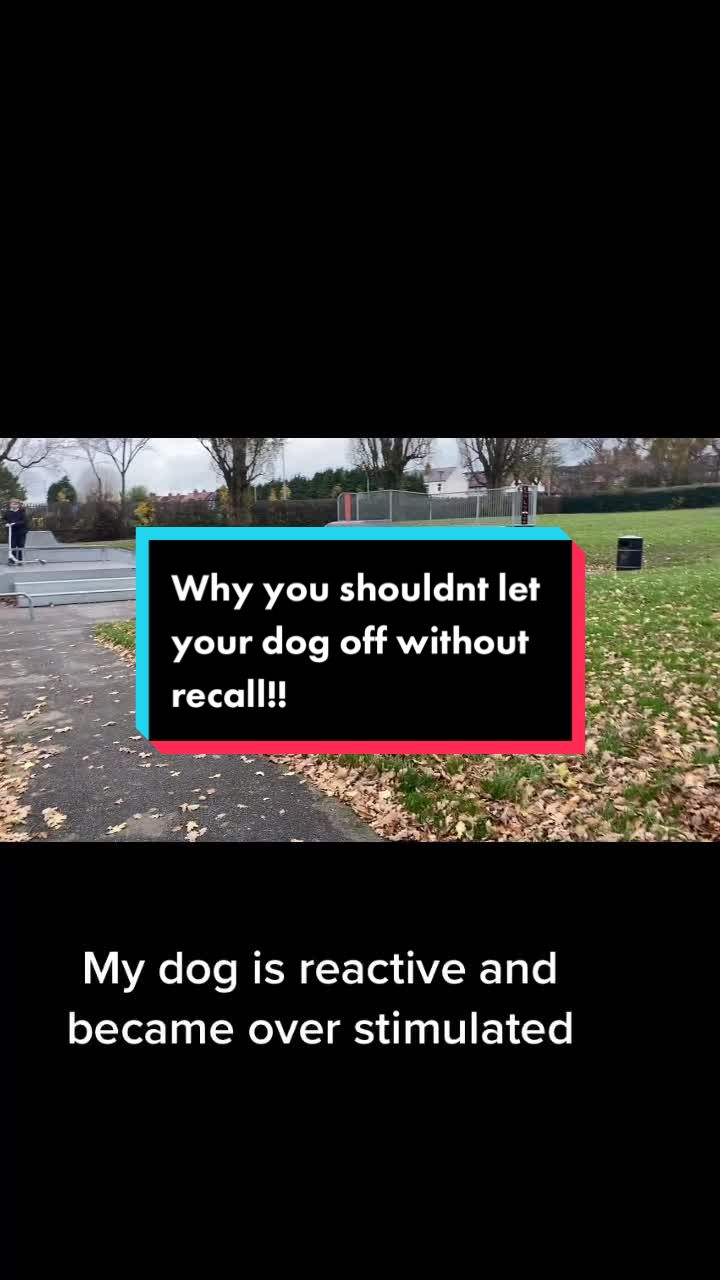@Bunnies🐰 & Bitches🐕