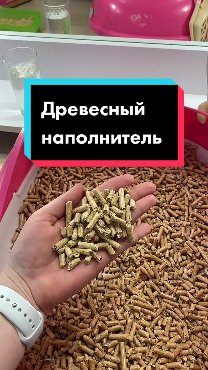 @Kristina