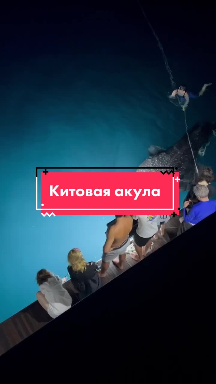 @sail