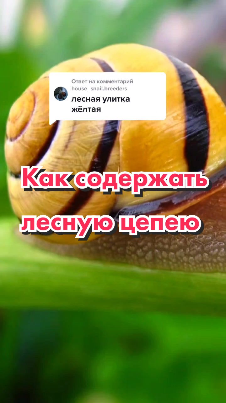 @🐌Яся Ясень🐌