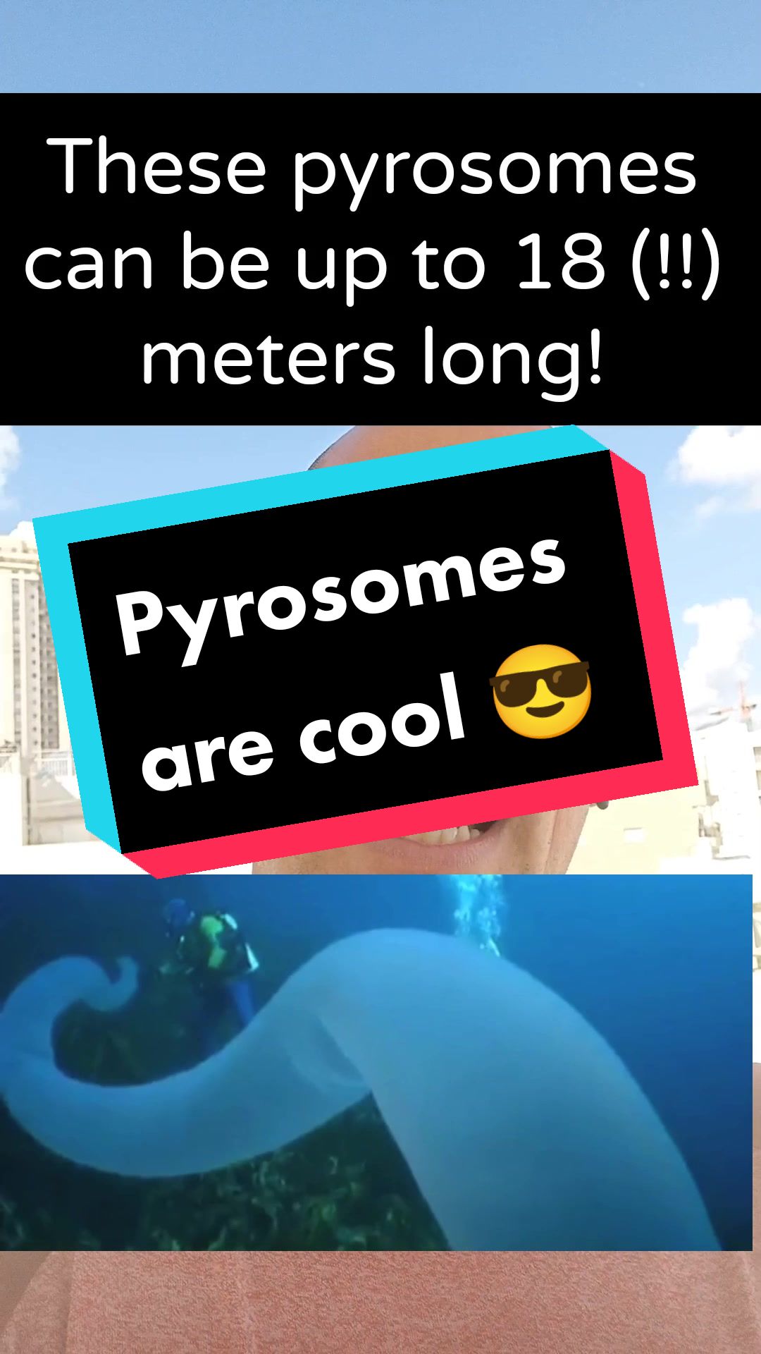 @interesting facts