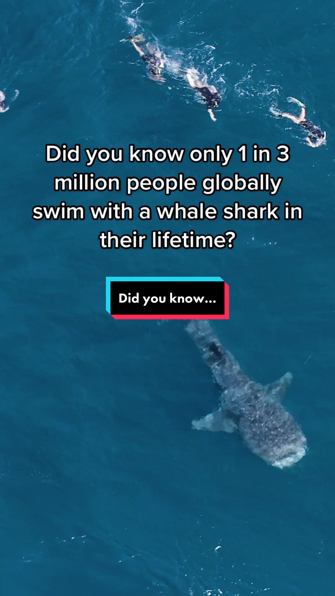 @Australia&rsquo;s Coral Coast