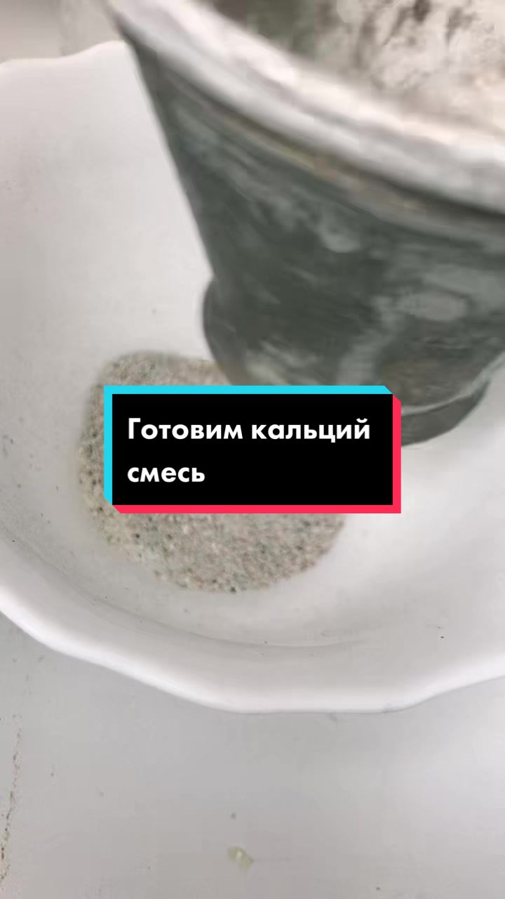 @Улиточки ахатины 🐌💕