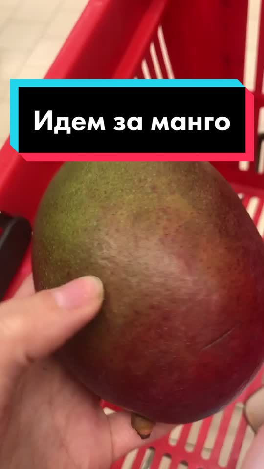 @Разрушительница мифов😎