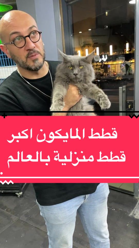 @الحياة البرية العراقية Iraqi W