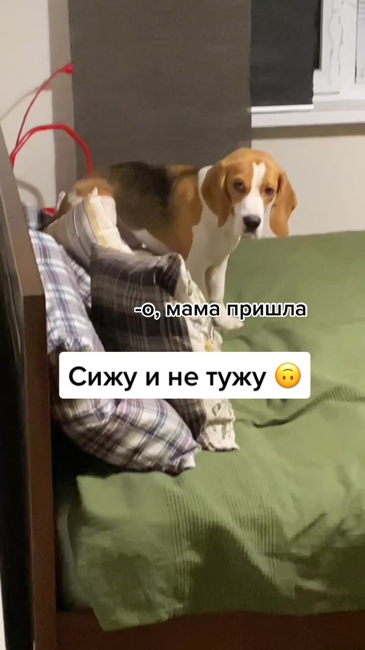 @Lyuba.va