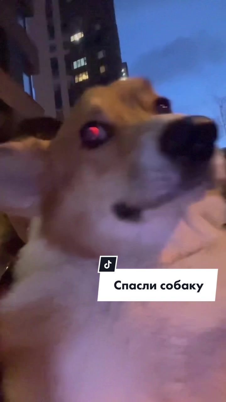 @Материнство с юмором