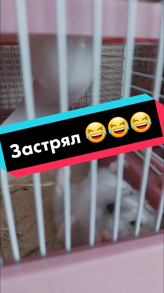 @Yary
