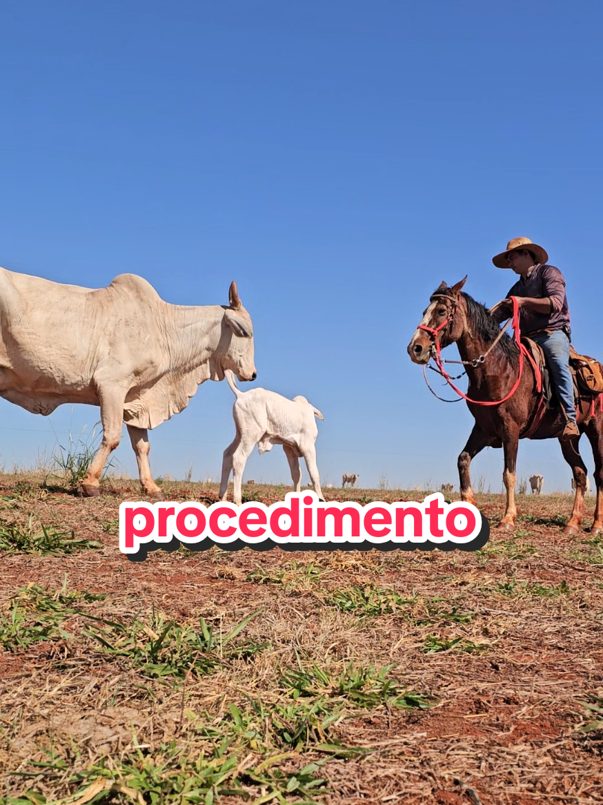 @Geovane neto