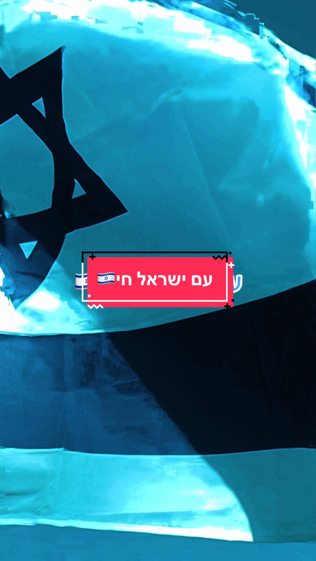 @יולן כהן yolan cohen