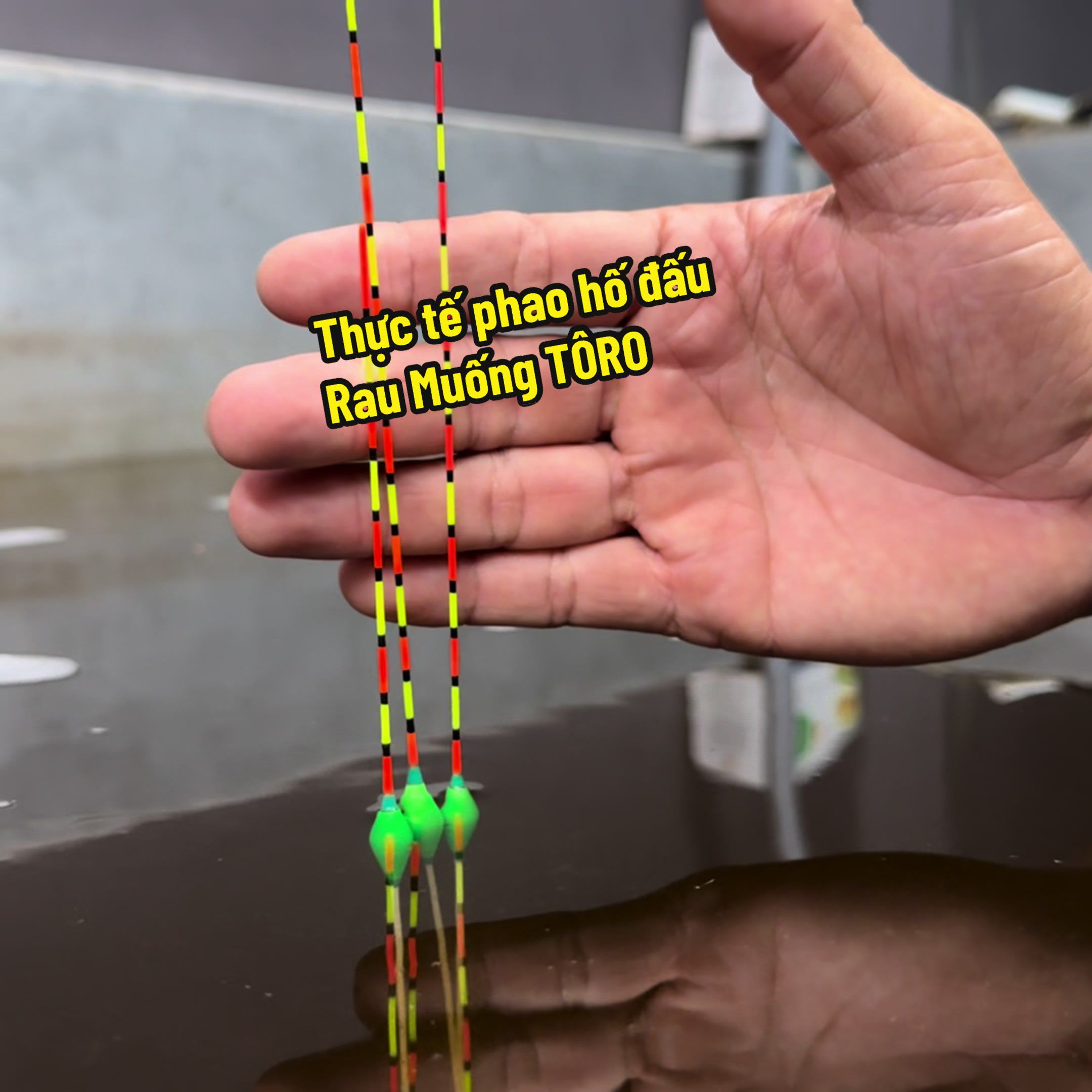 @Duyfishing_review