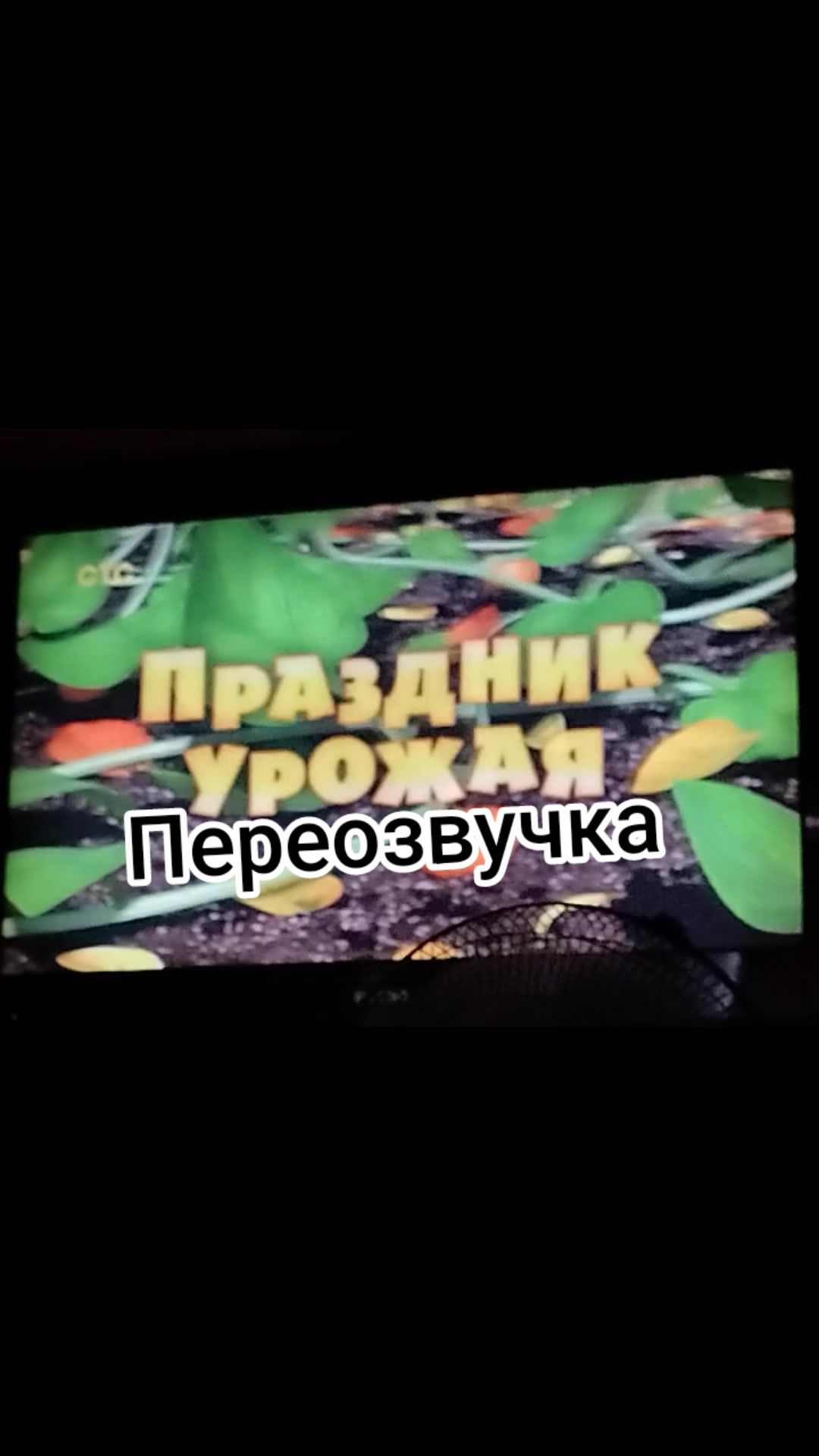 @ТГК:pereozvucheshkasuka2025
