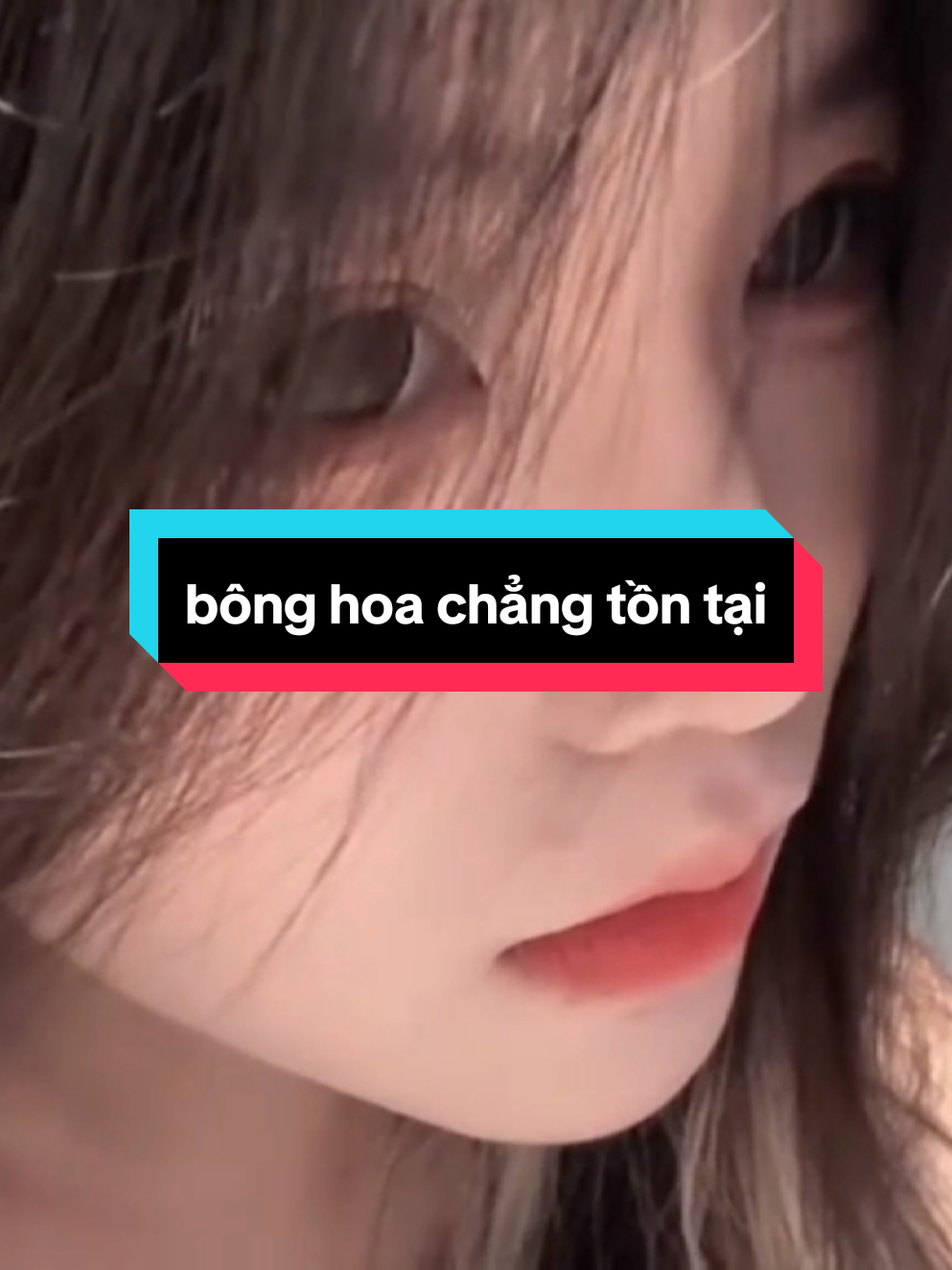 @🎶𝙆𝙚𝙣𝙎𝙥𝙚𝙚𝙙🎶