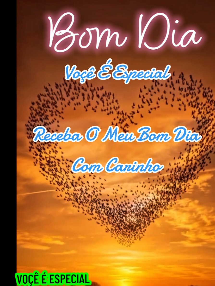 @C&eacute;sar A. A. Santos