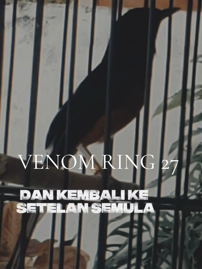 @DEN BAGUS