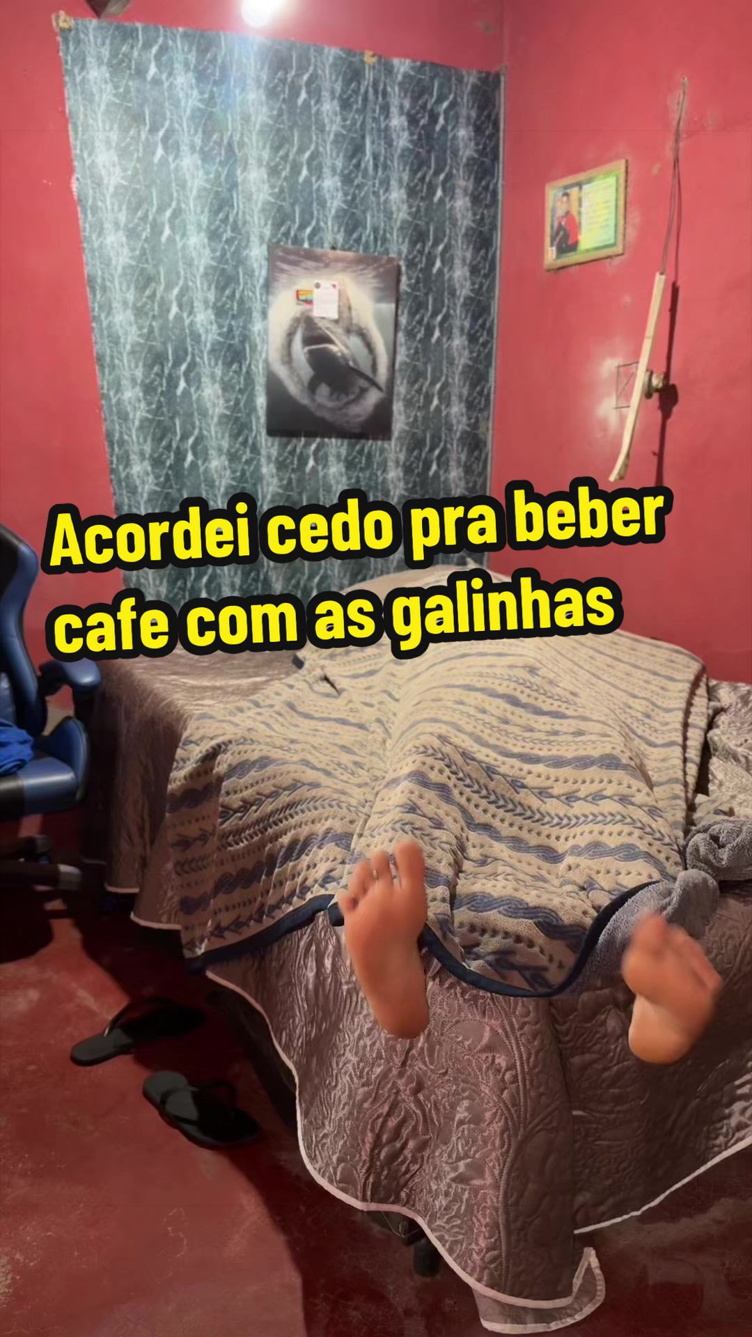 @Rafael Mello