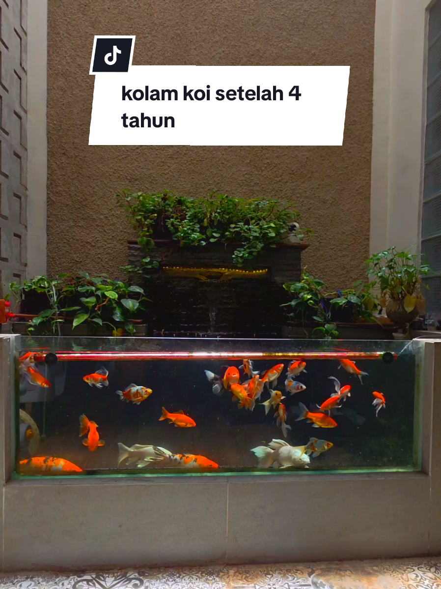 @anggian