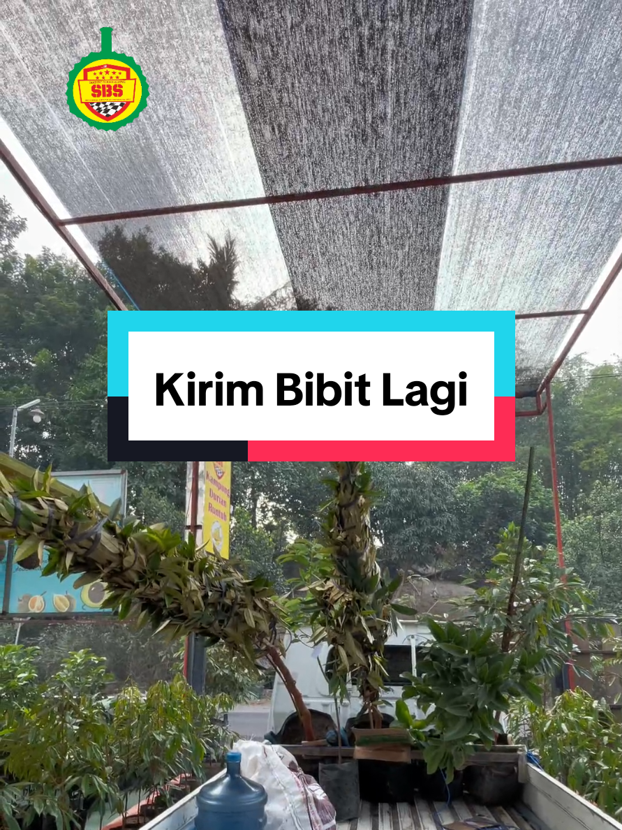 @Produksi Buah_SBS