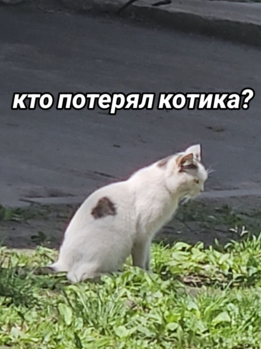 @moy_blog24