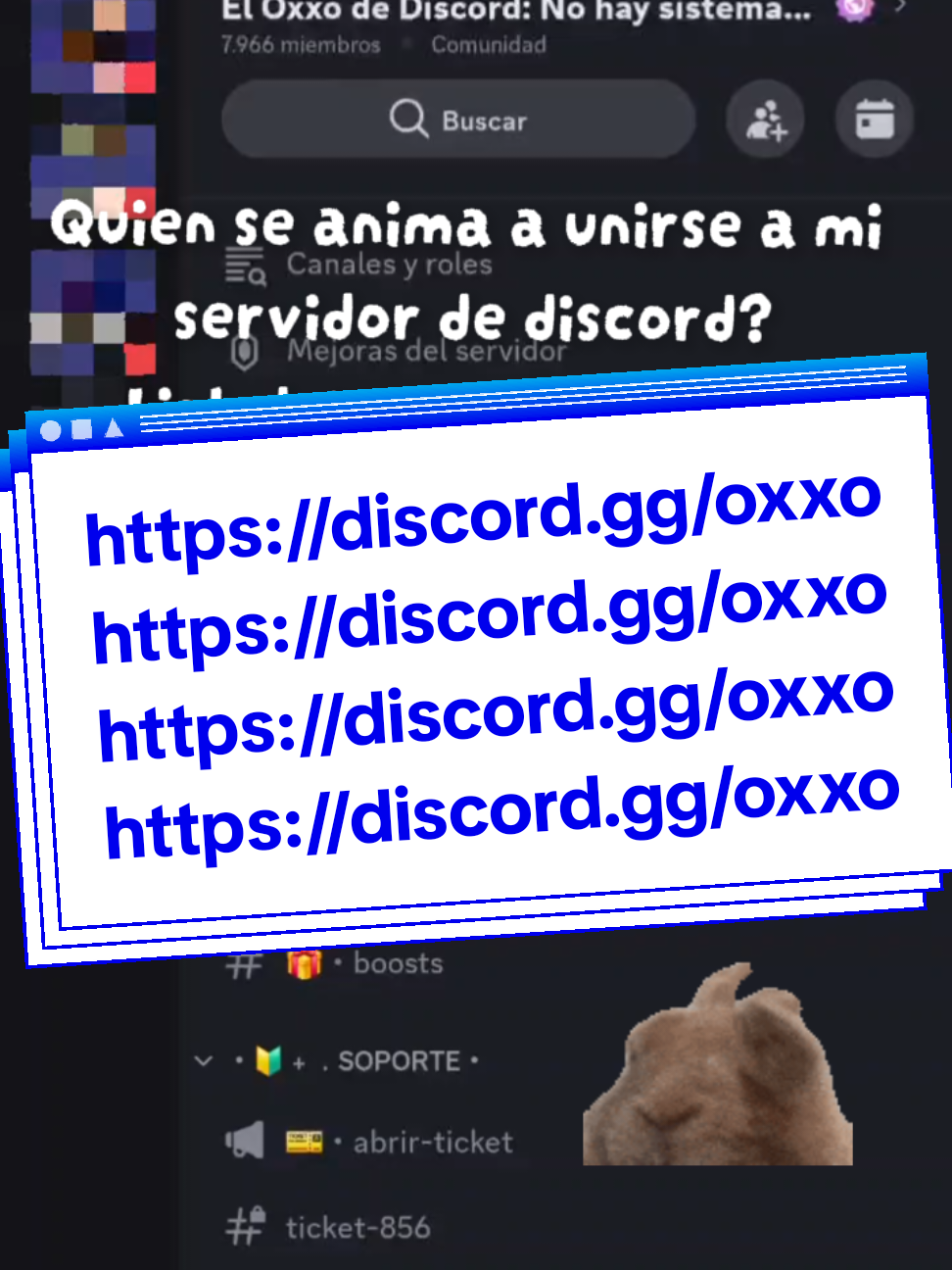@UNETE A El Oxxo de Discord