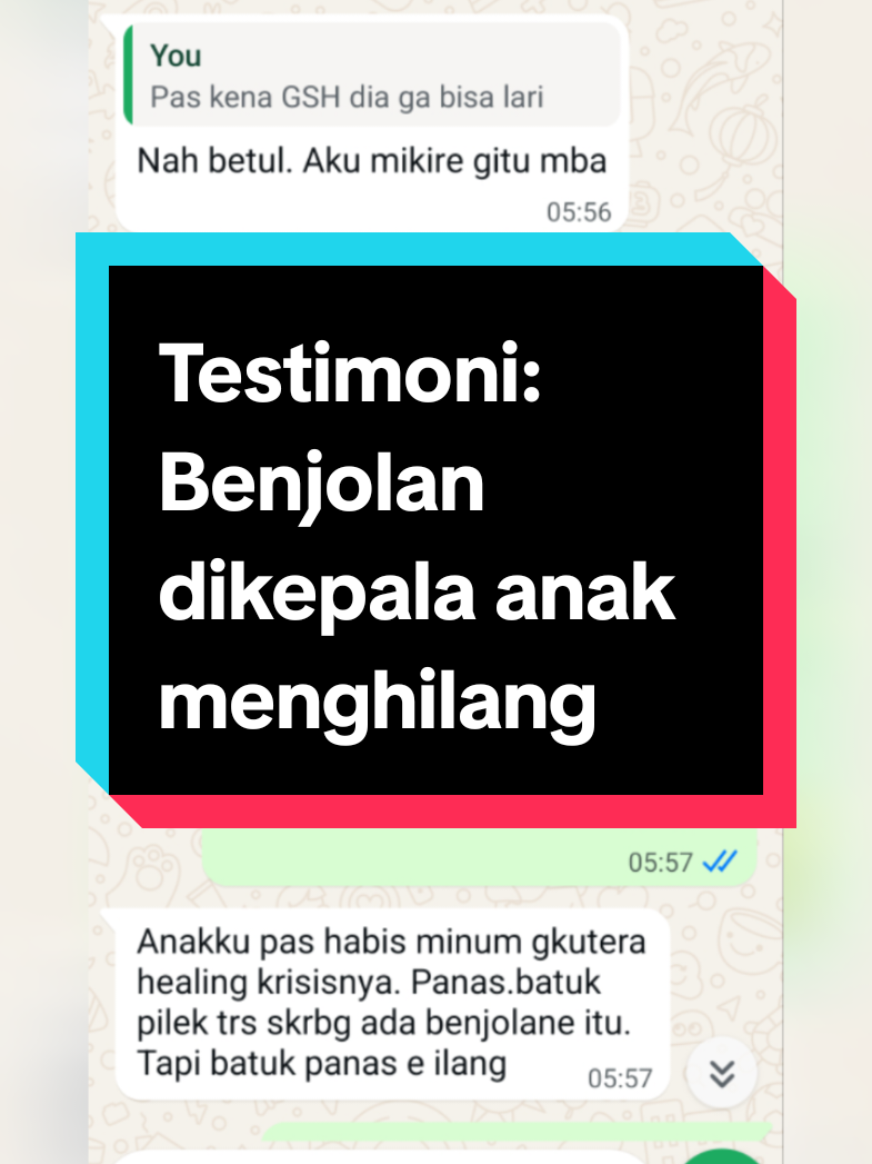 @Agen Resmi Glutera