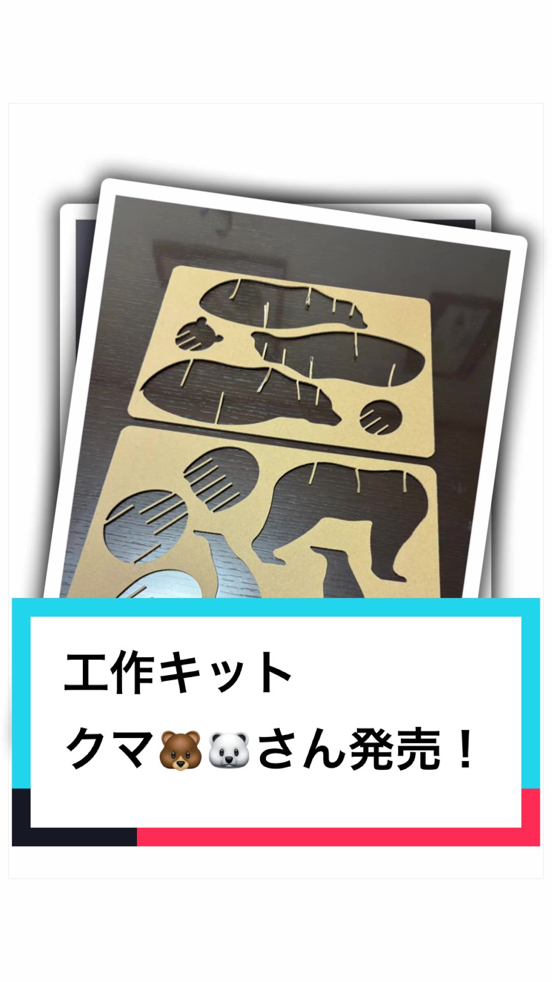 @ダンボール王子🌏♾️🐦&zwj;🔥