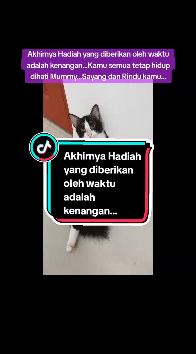 @🐱💜My_LittleAngel💜🐱