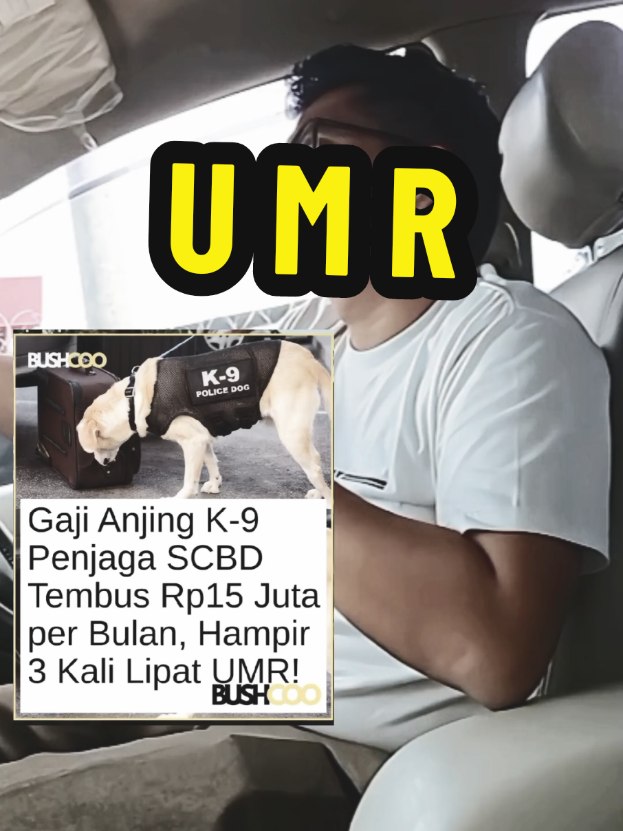 @pangeran kodok