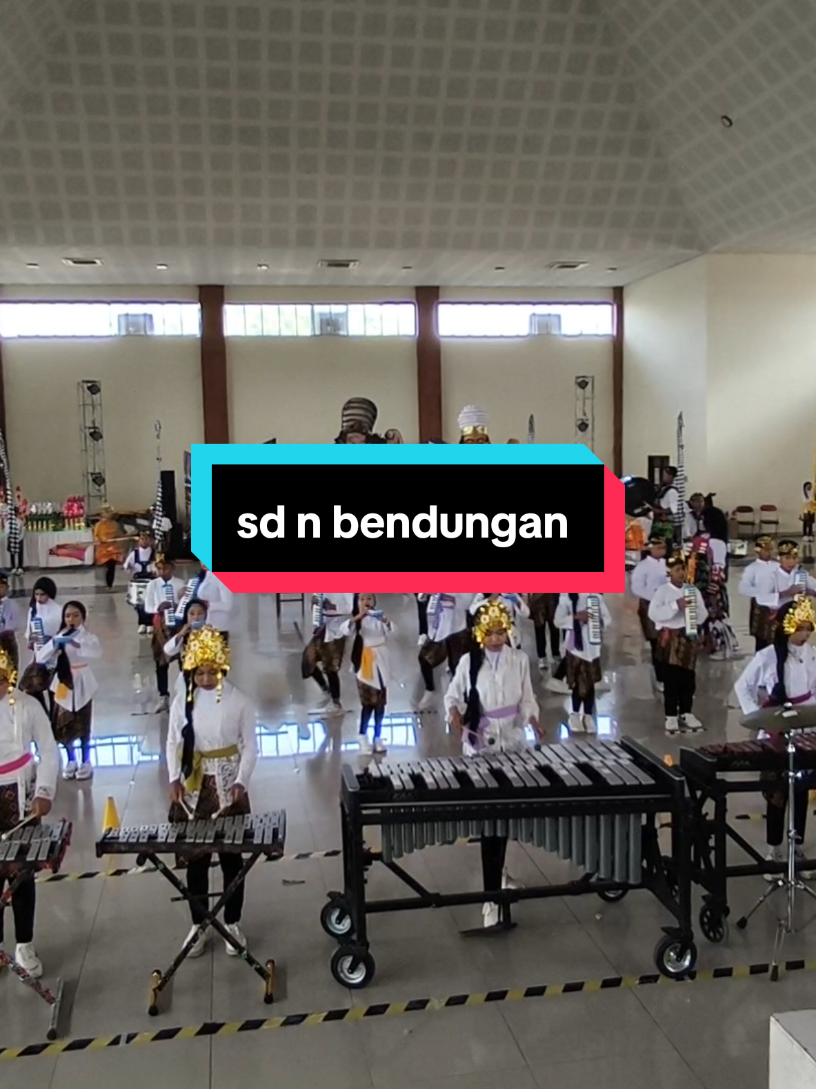 @colorguard_junior