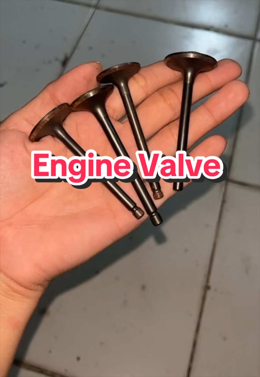@ziashop33