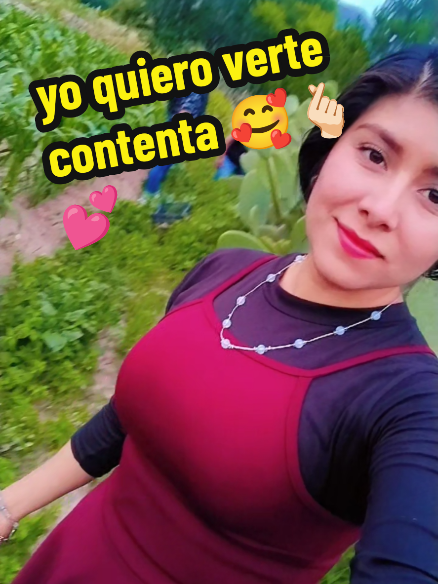 @Sol Hedz gs2804