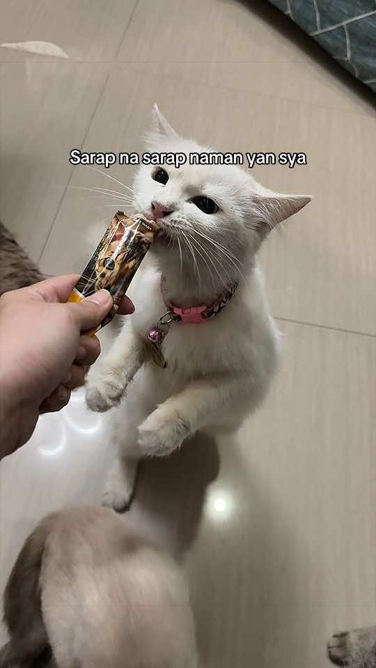 @Nheshy 🧿