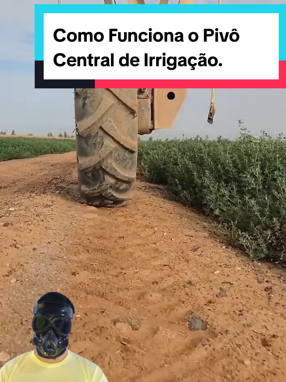 @Mundo da Curiosidades