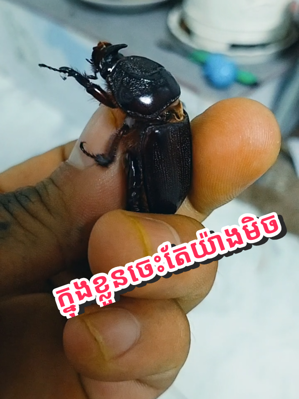 @FB អថ័នមហានគរ