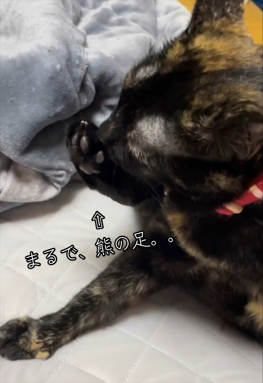 @聴々物語PROJECT